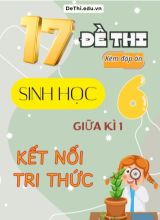 Tuyển tập 17 Đề thi giữa Kì 1 môn Sinh Học 6 sách Kết Nối Tri Thức (Kèm đáp án)